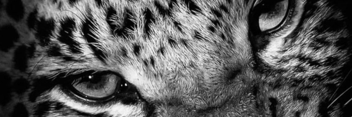 Anndulgence's profile banner image