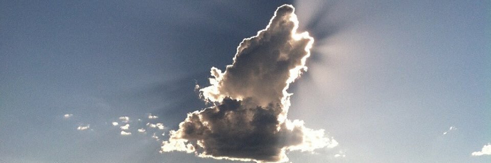 🐺 Kirsty George 🐺 banner