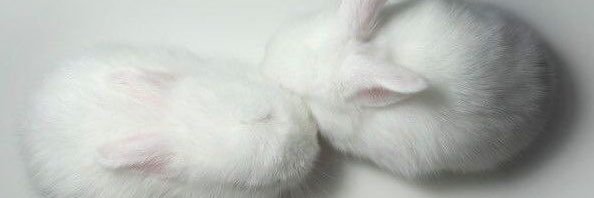 tinyprincesslol's profile banner image