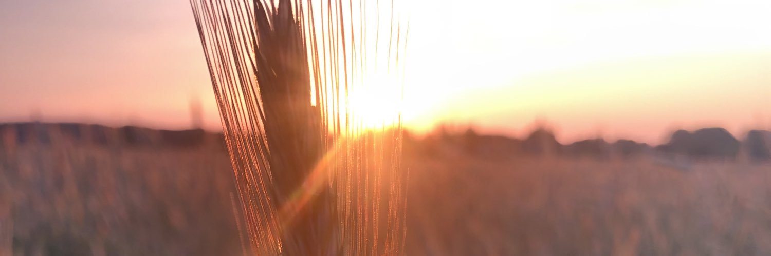 waterbuffer's profile banner image