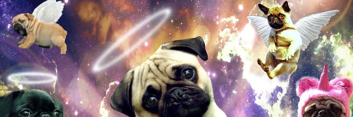 yushhka's profile banner image