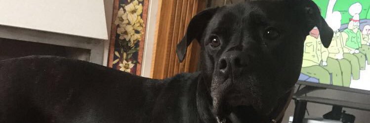 Keto banner