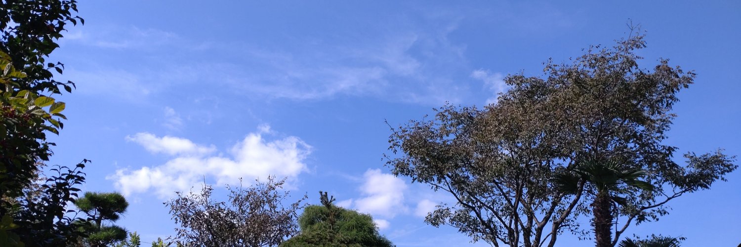 bmyuwp's profile banner image