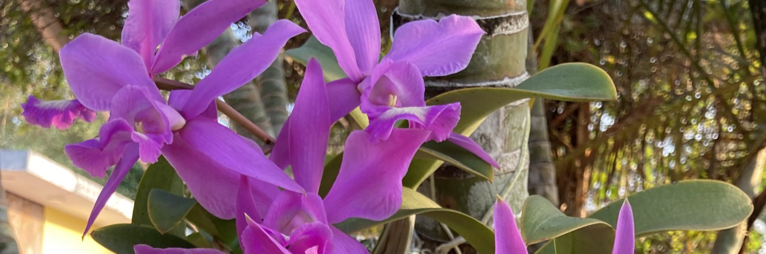 MarlePenayo's profile banner image