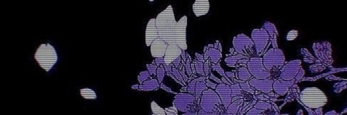 bebefosho's profile banner image