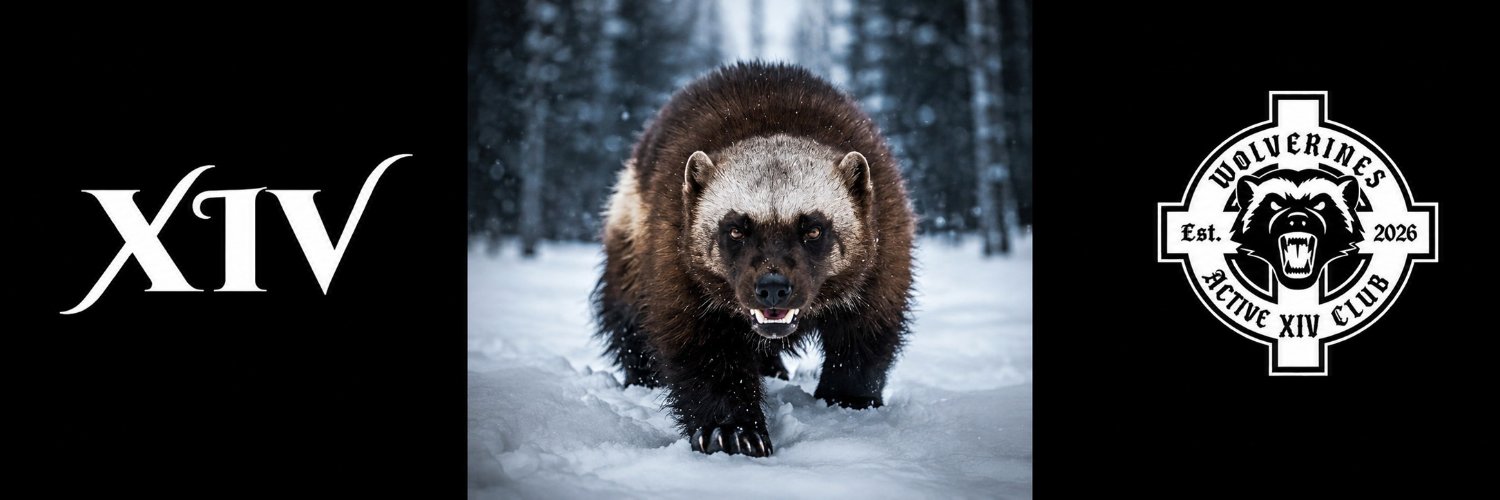 ACWolverines's profile banner image