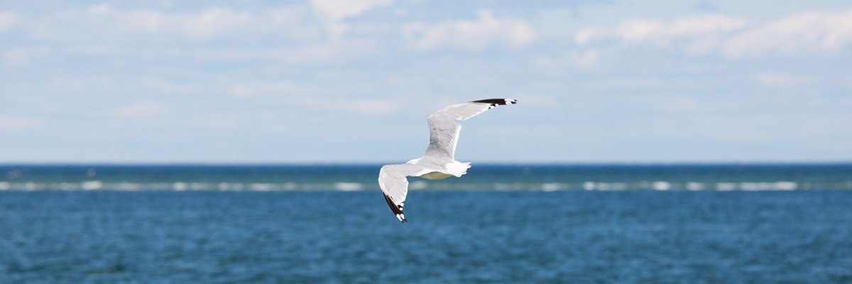 EndicottCollege's profile banner image