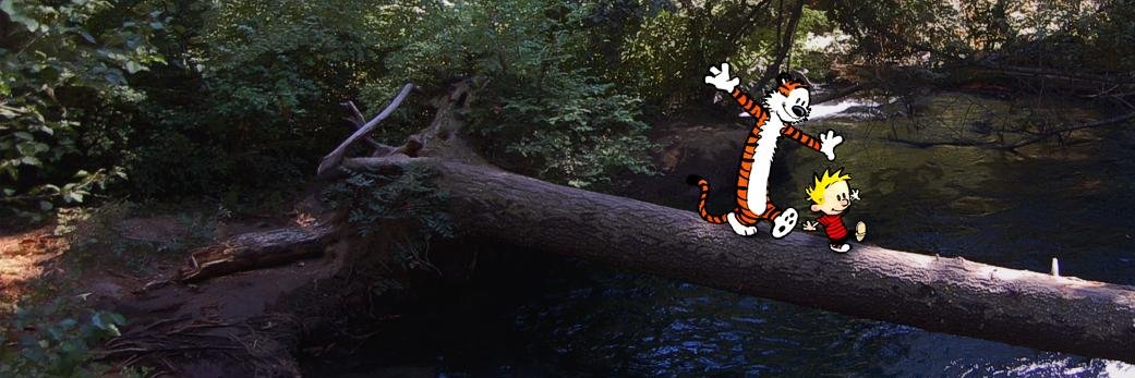 heyMojo's profile banner image