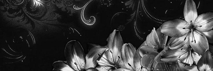Dalycit4_'s profile banner image