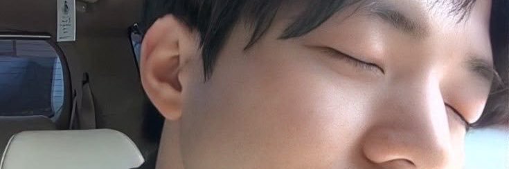 dogwooni's profile banner image