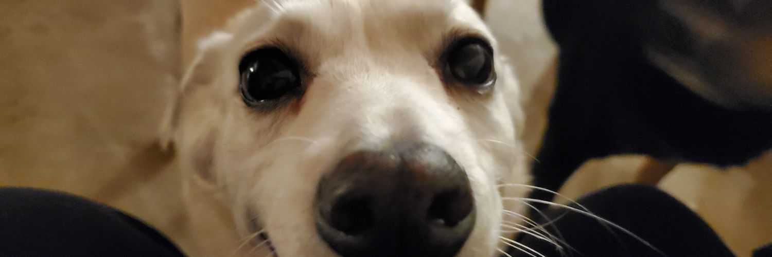 IHATEDTSO's profile banner image