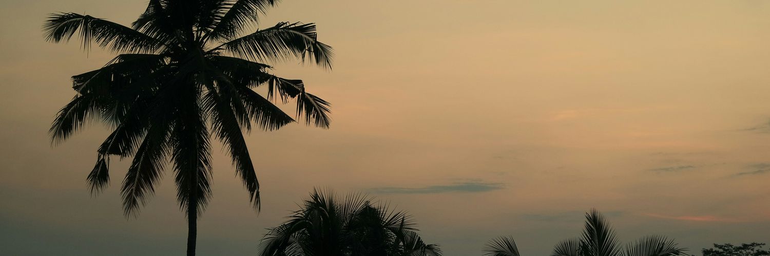 rosemfallon's profile banner image