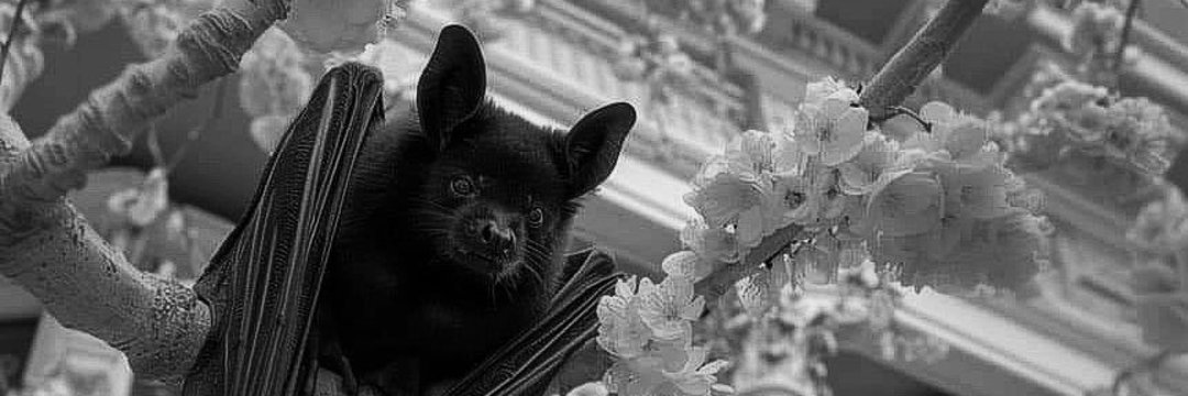 ⛧𝔑𝔞𝔫𝔞⛧ 🦇 𝔊𝔯𝔞𝔳𝔢𝔶𝔞𝔯𝔡 𝔅𝔞𝔟𝔶 banner