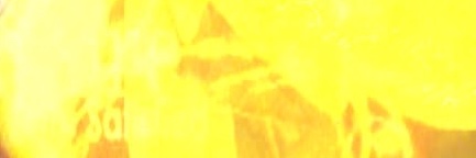 vampbou's profile banner image