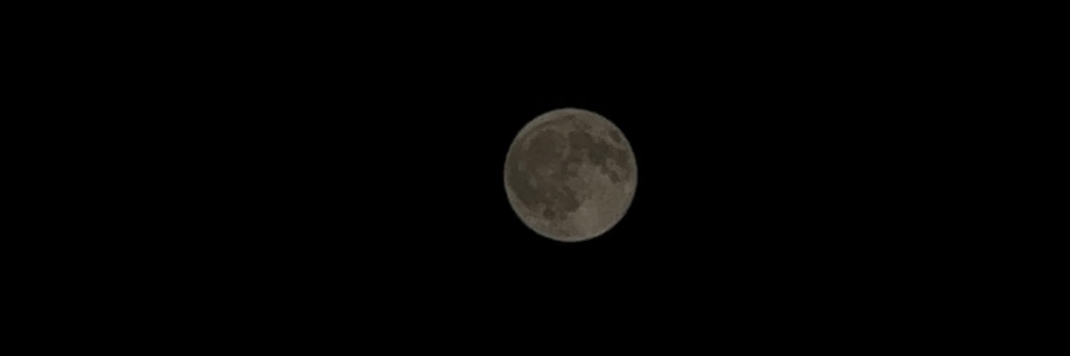𝓂 banner