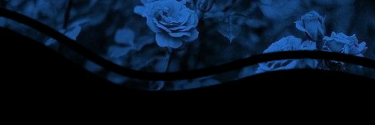 vampirecvlture's profile banner image