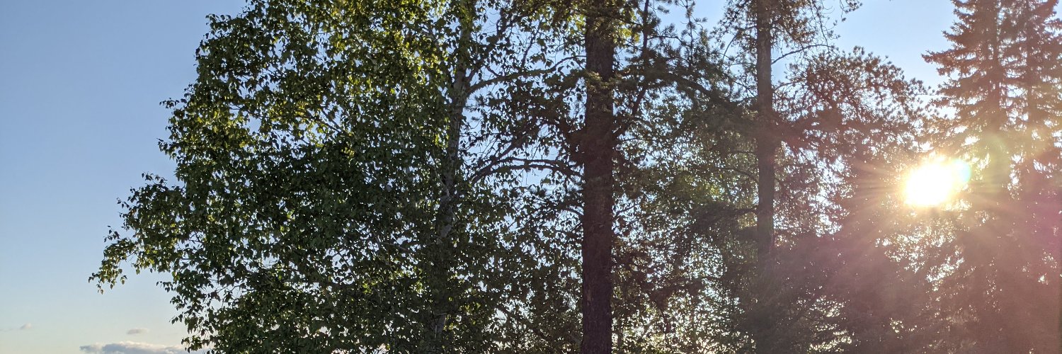 swartz19's profile banner image