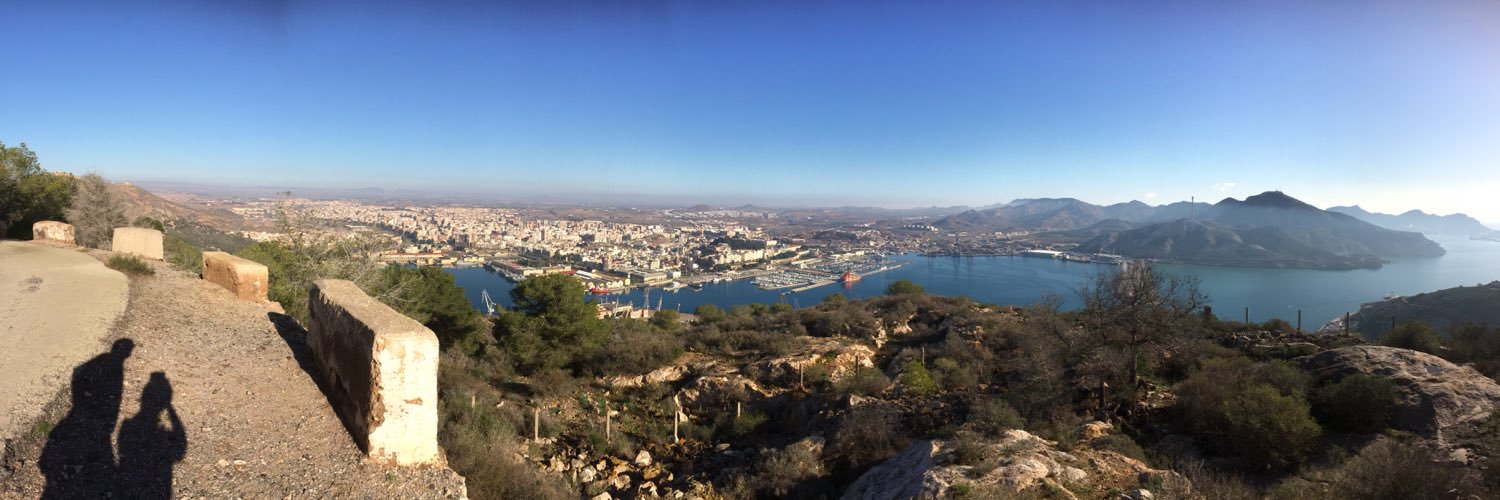 Irene Curtis OBE banner