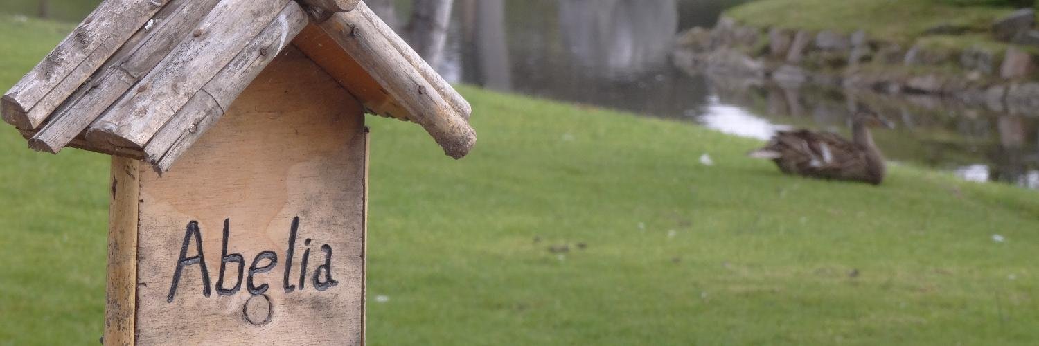 nat_yr's profile banner image