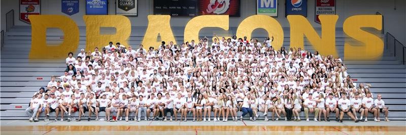MSUM Dragons banner