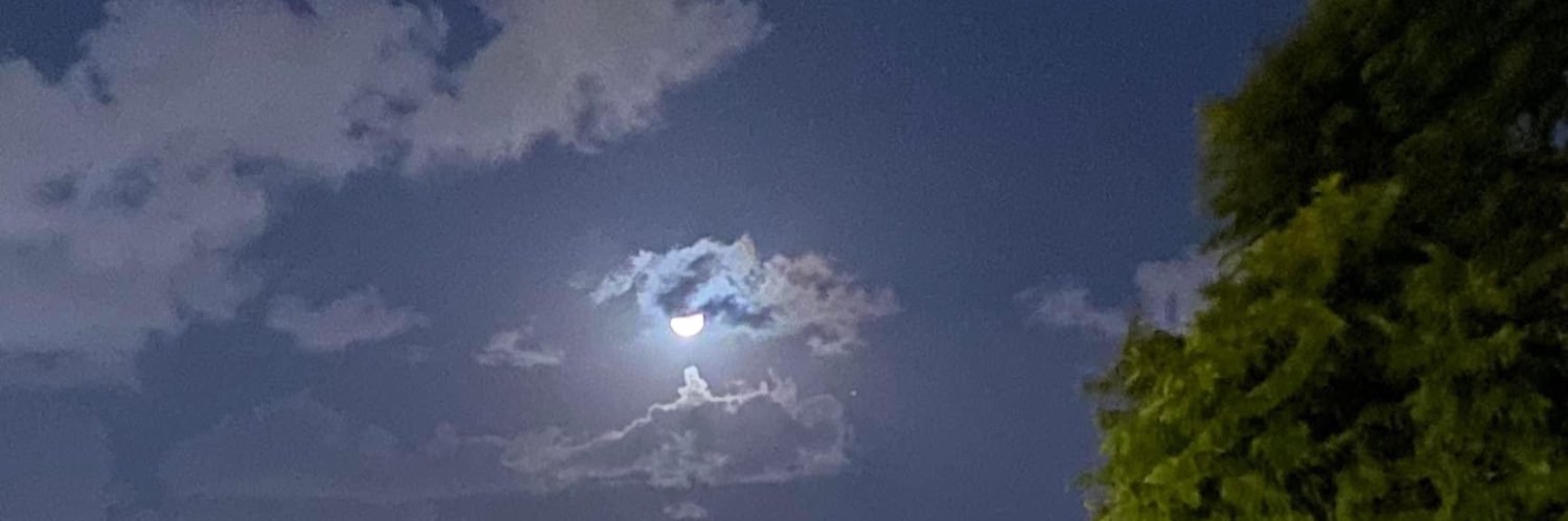 ChrisTX🇺🇸 banner