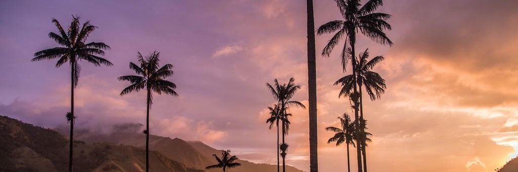 Feliperaamirez's profile banner image