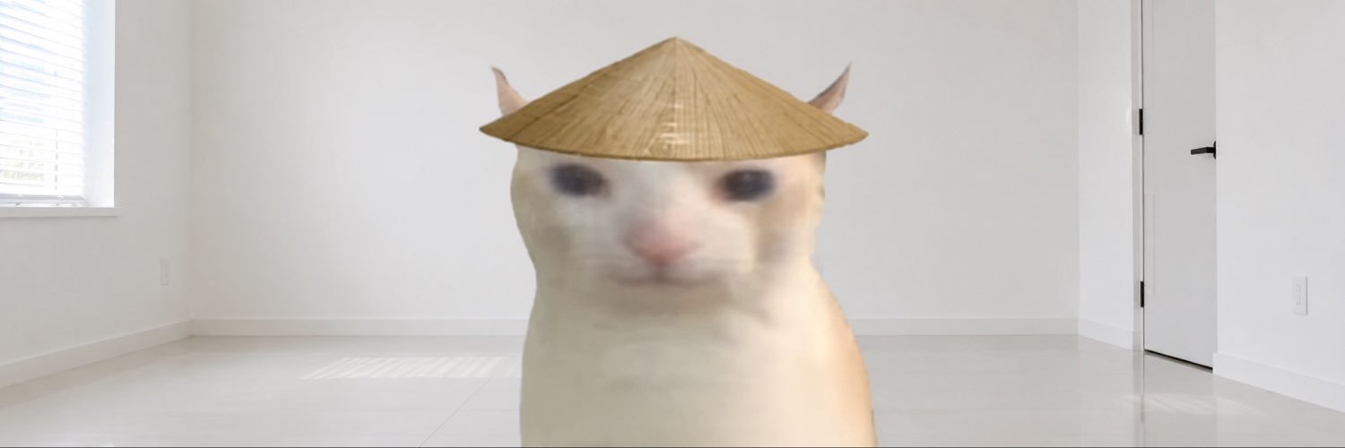 chinesecathat's profile banner image