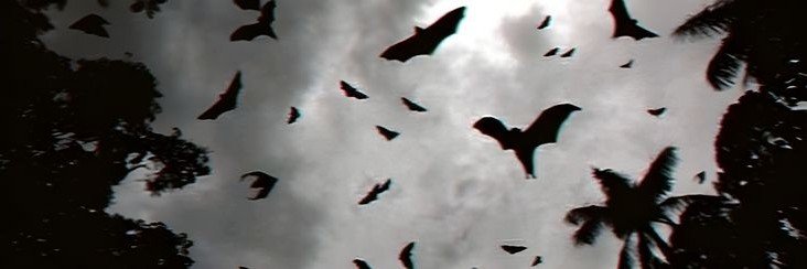 Manoob1002's profile banner image