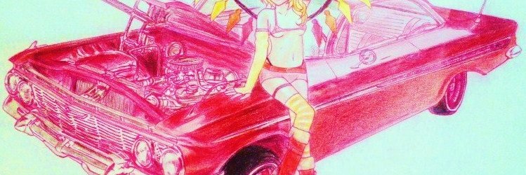 555fox64's profile banner image
