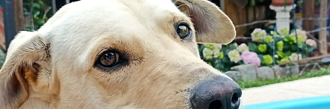Facuandrini's profile banner image