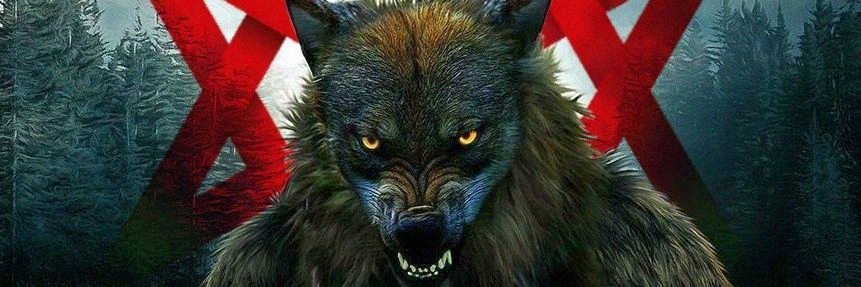 pitomulibesi's profile banner image