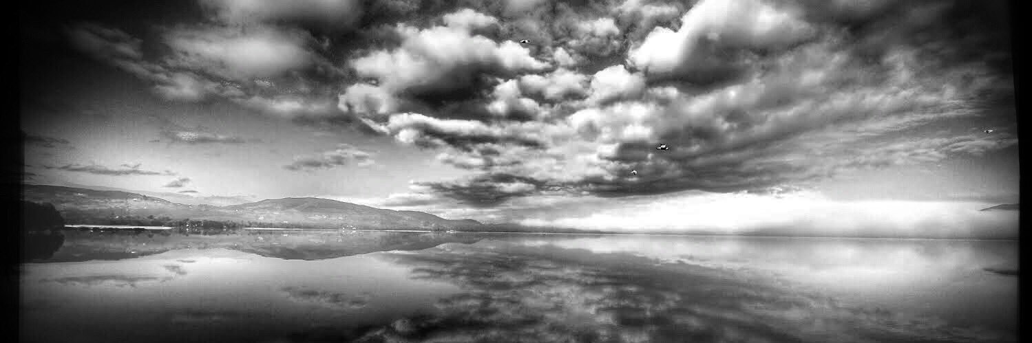 Brian Gavin banner