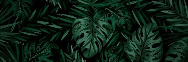 LittlePickling's profile banner image