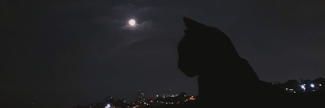jedakask's profile banner image