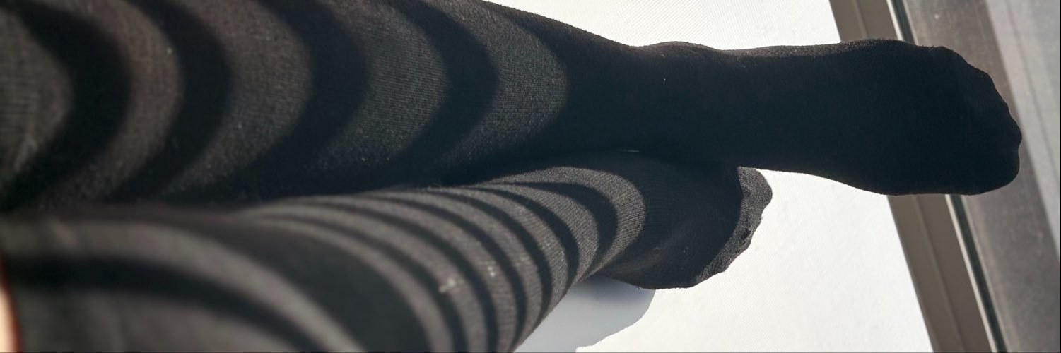 TippiToeBeanz48's profile banner image