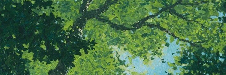 aninguemvht's profile banner image