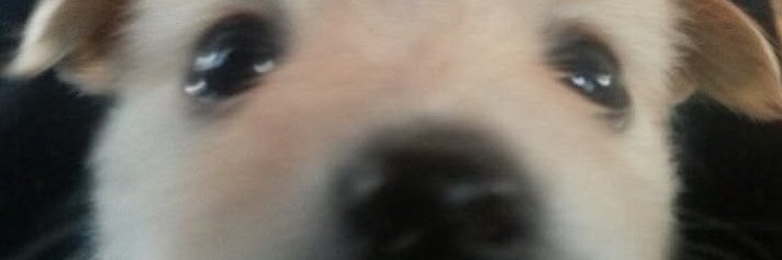Zzzd0n's profile banner image