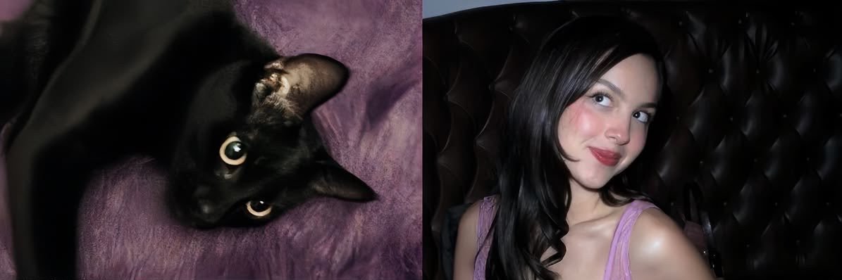 theORdiaries's profile banner image