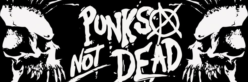 x_PunkForLife_x's profile banner image