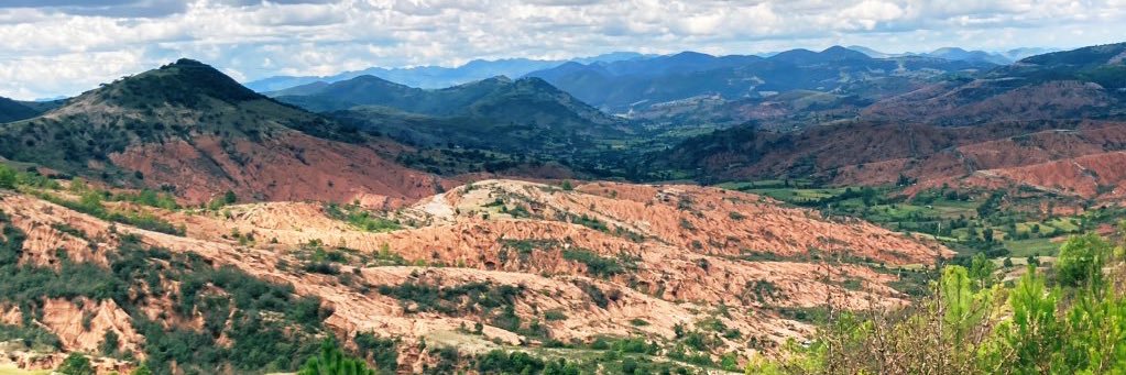 Daniela López banner