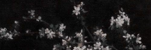 kay3thing's profile banner image