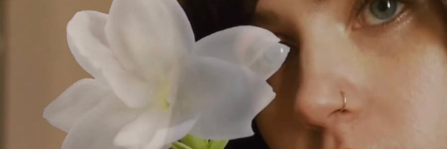 ✼ banner