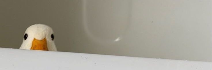 Liz Simrajh banner