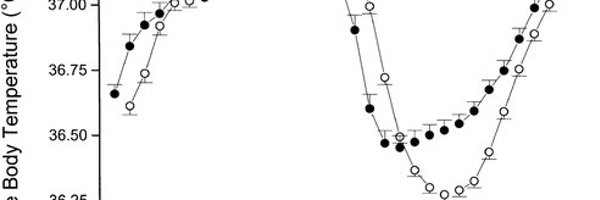 henryweimd Profile Banner