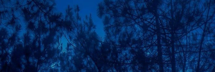 Murder_Major's profile banner image
