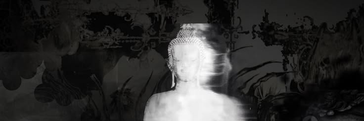 radiantshanka's profile banner image