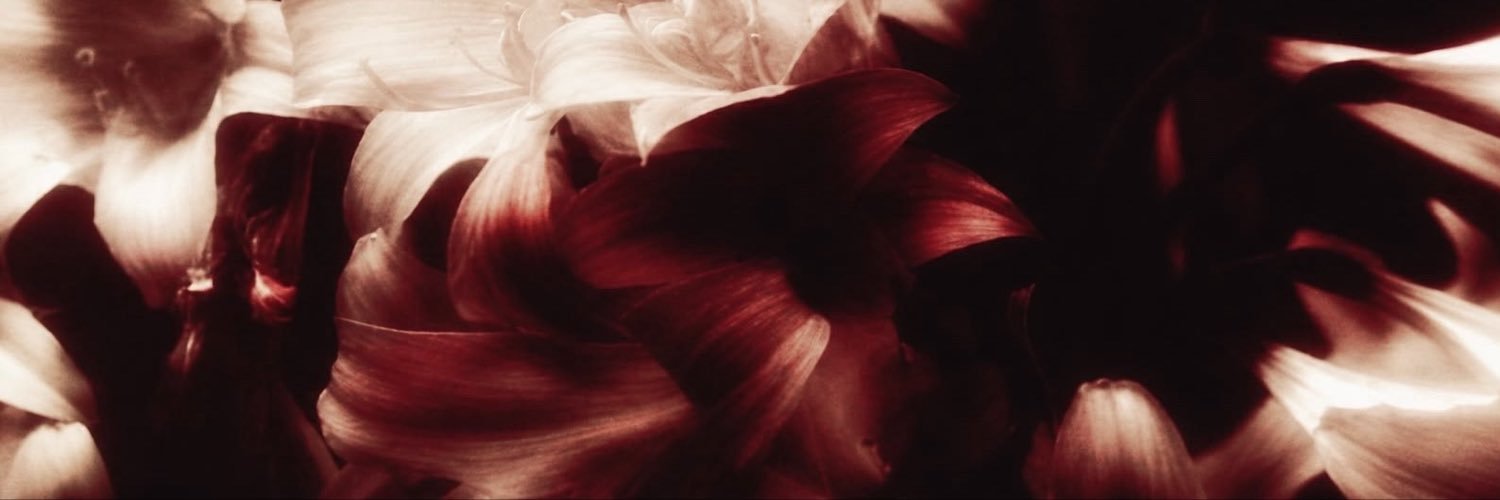 prw_rin's profile banner image