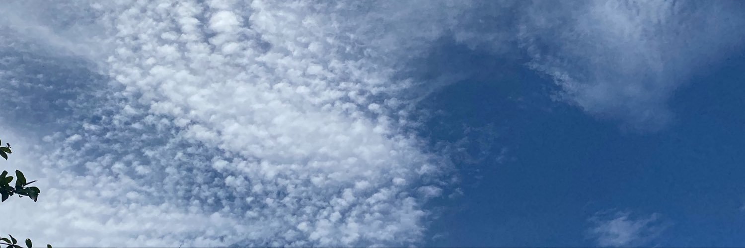 Dhhdcumn's profile banner image
