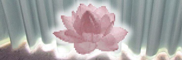 iwannaneedu's profile banner image