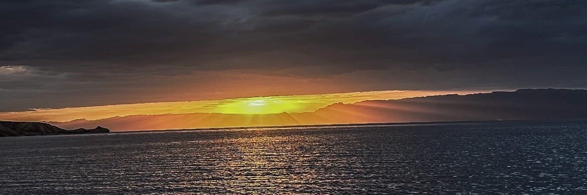 liaalmurad's profile banner image